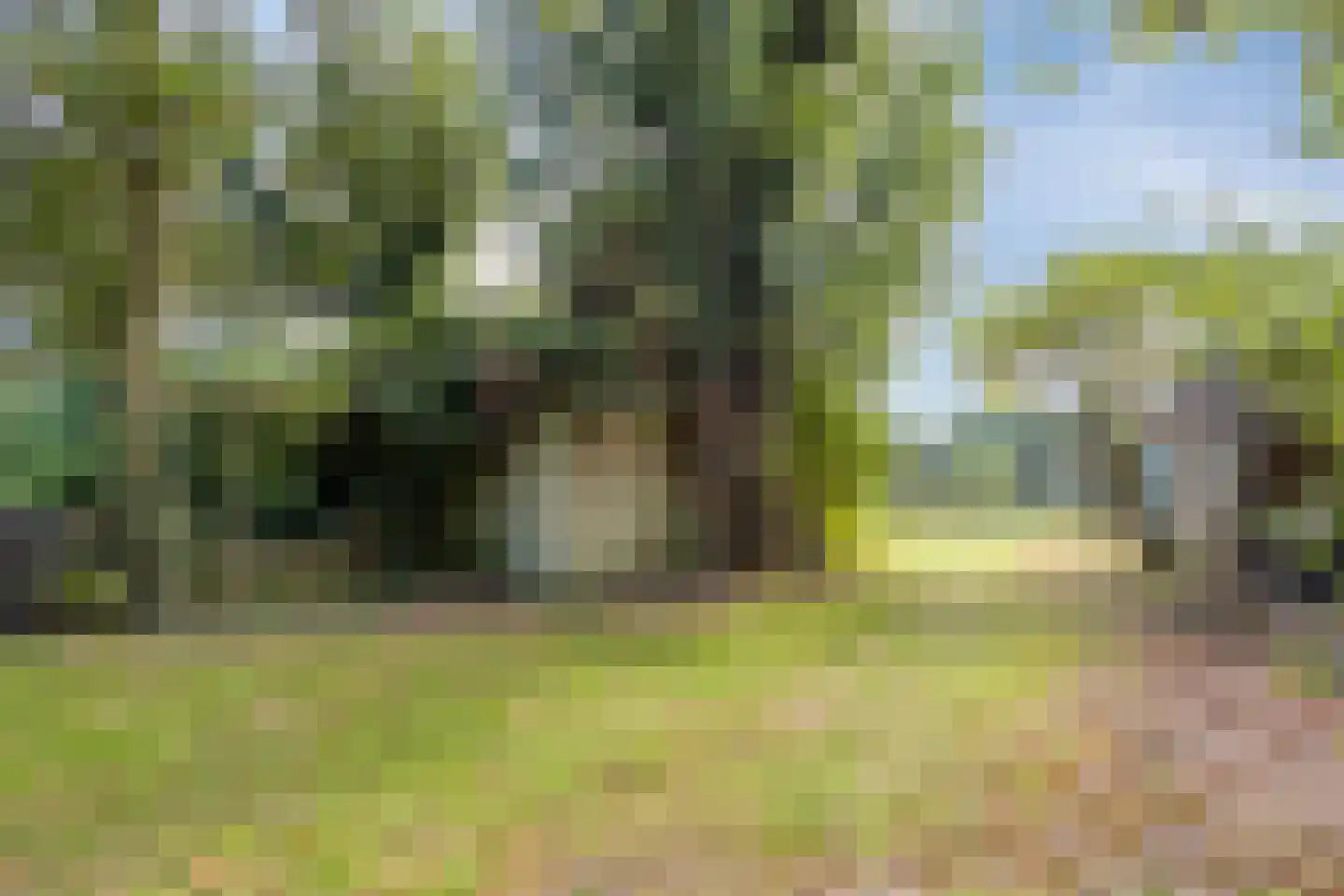 Oosterbuurt 1 Castricum thumbnail 17