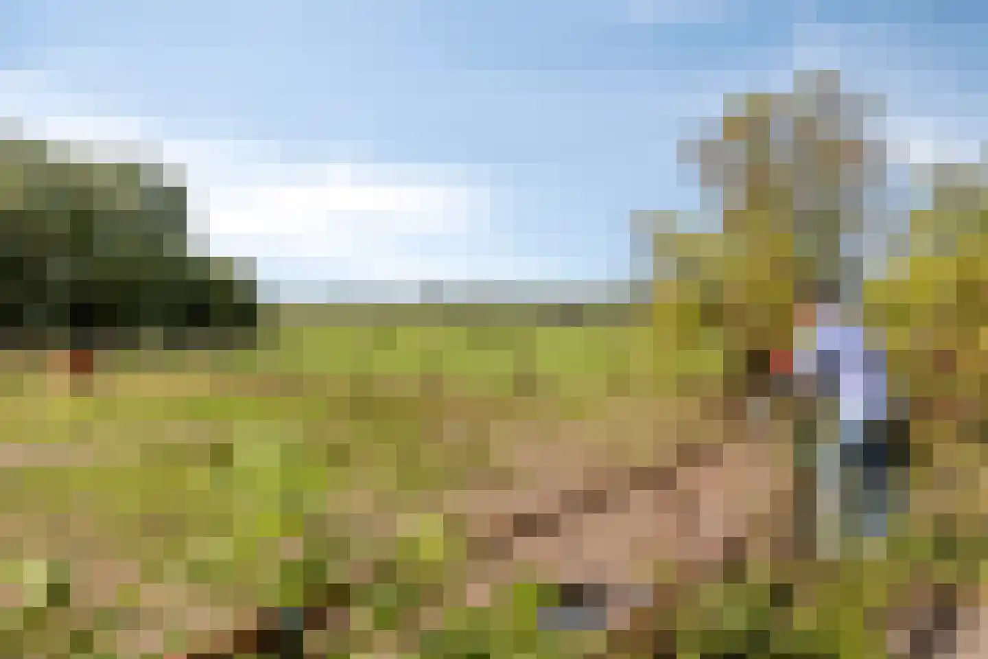 Oosterbuurt 1 Castricum thumbnail 18