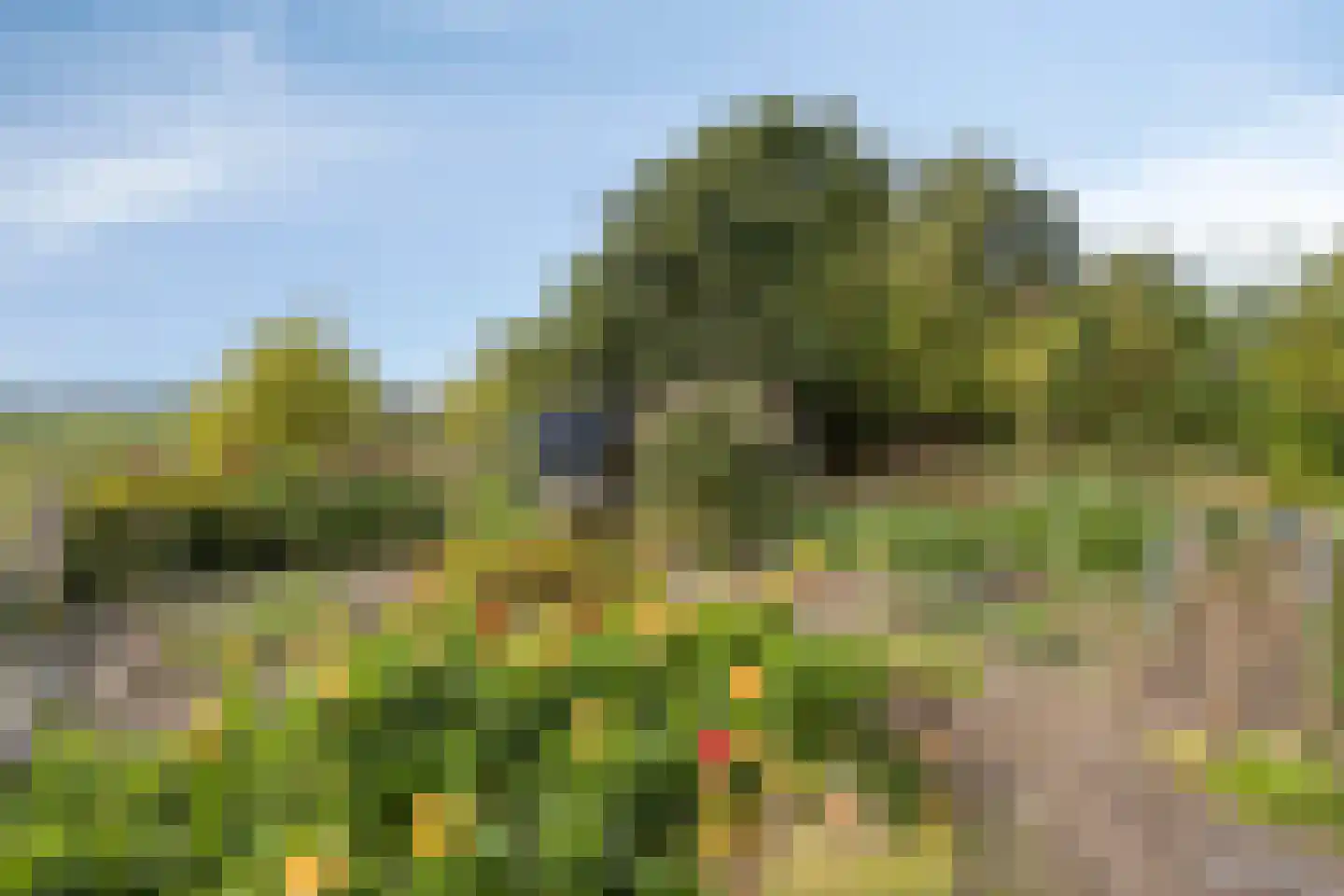 Oosterbuurt 1 Castricum thumbnail 19