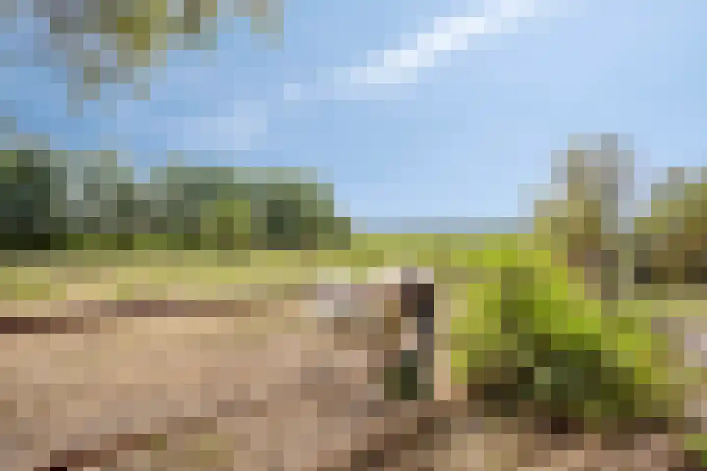Oosterbuurt 1 Castricum thumbnail 20