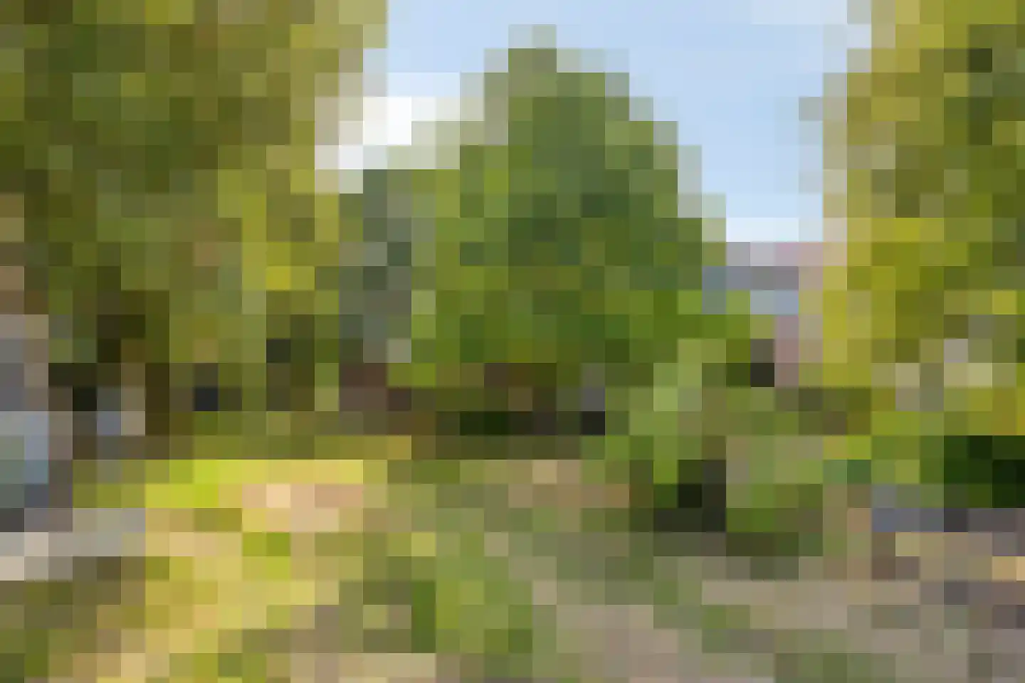 Oosterbuurt 1 Castricum thumbnail 22