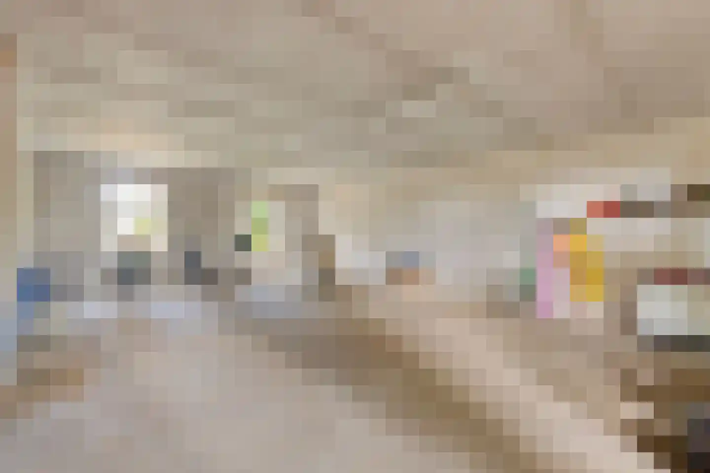 Oosterbuurt 1 Castricum thumbnail 37