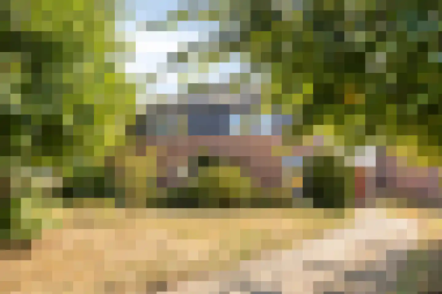 Oosterbuurt 1 Castricum thumbnail 4