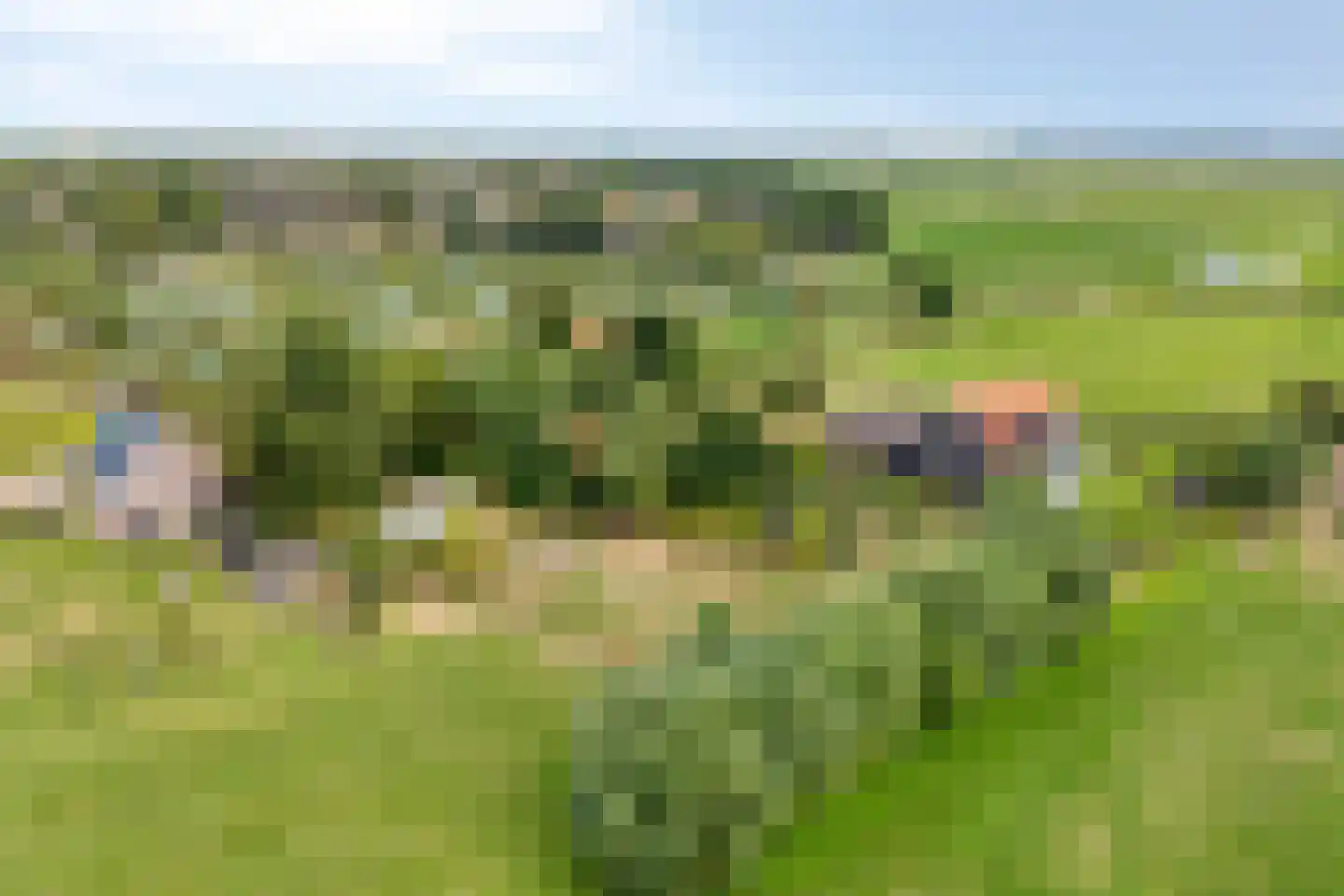 Oosterbuurt 1 Castricum thumbnail 41