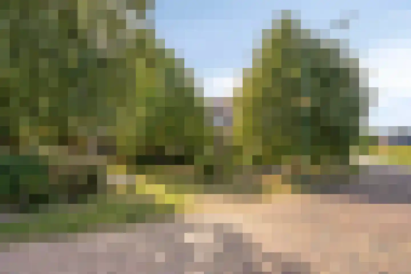 Oosterbuurt 1 Castricum thumbnail 43