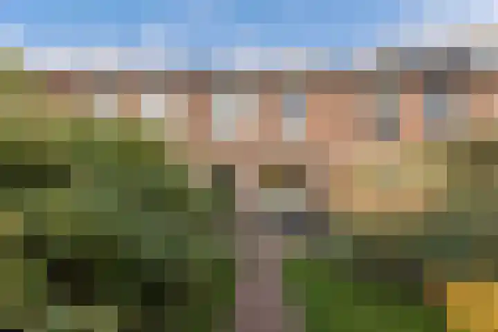 Oostercluft 121 Steenwijk thumbnail 25