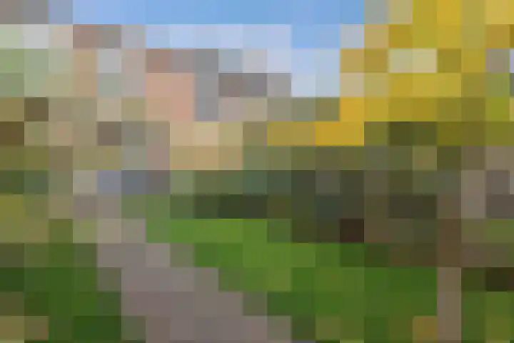 Oostercluft 121 Steenwijk thumbnail 26