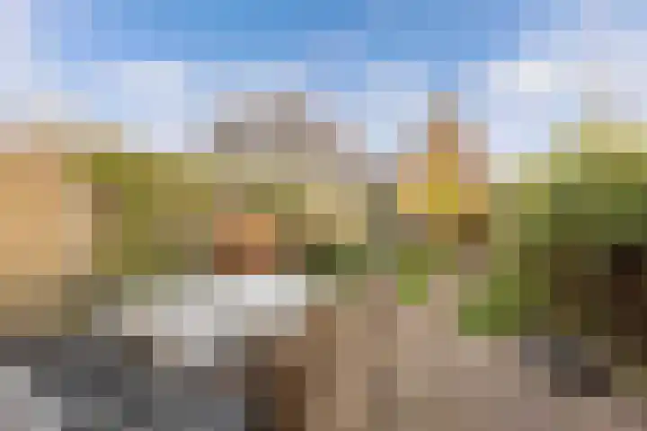 Oostercluft 121 Steenwijk thumbnail 28