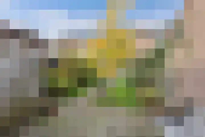 Oostercluft 121 Steenwijk thumbnail 31