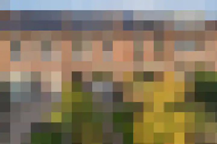 Oostercluft 121 Steenwijk thumbnail 32