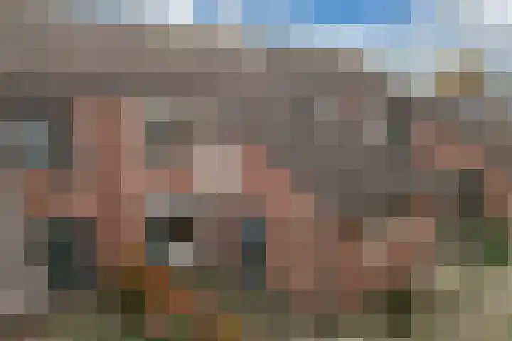 Oostercluft 121 Steenwijk thumbnail 33