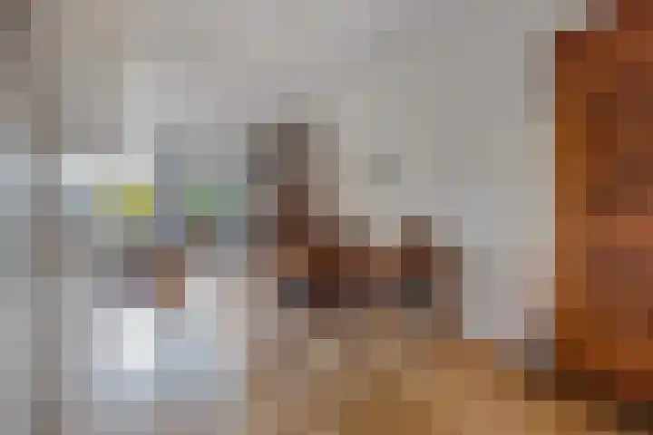 Oostercluft 121 Steenwijk thumbnail 9