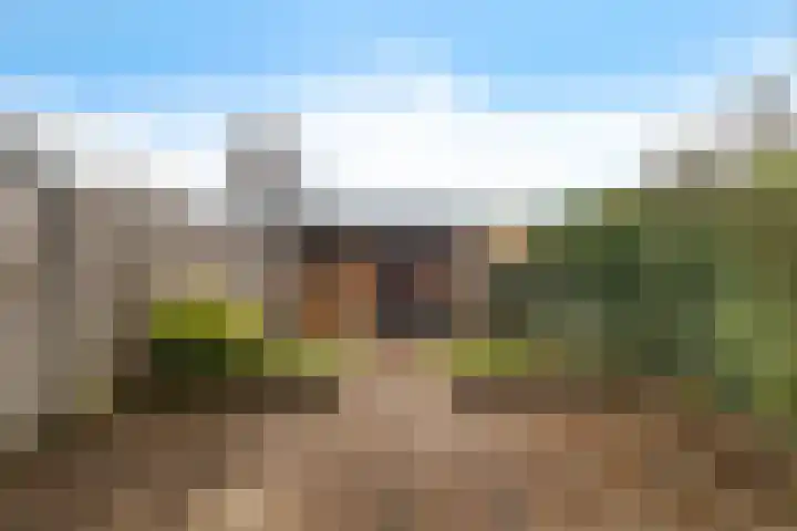 Oostercluft 123 Steenwijk thumbnail 29