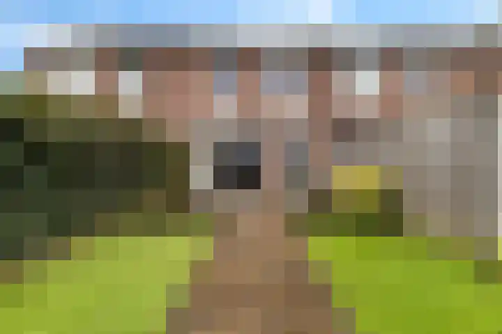 Oostercluft 123 Steenwijk thumbnail 32