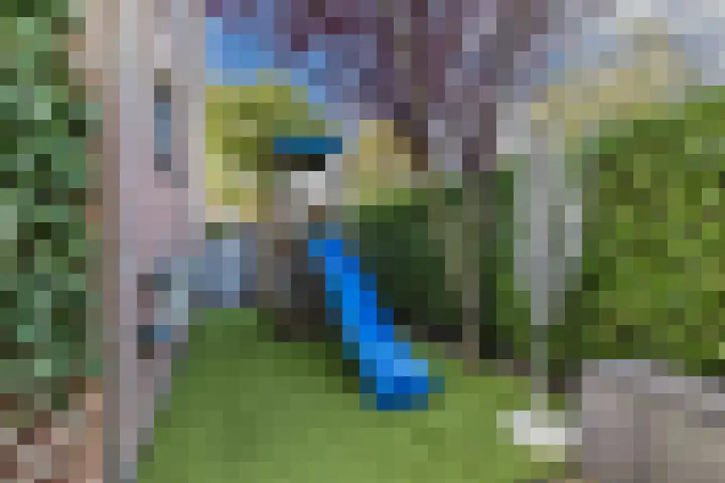 Oostercluft 135 Steenwijk thumbnail 42