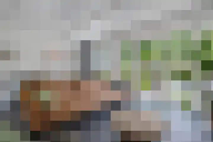 Oostercluft 14 Steenwijk thumbnail 10