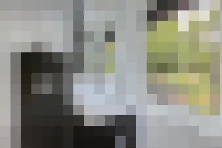 Oostercluft 14 Steenwijk thumbnail 29