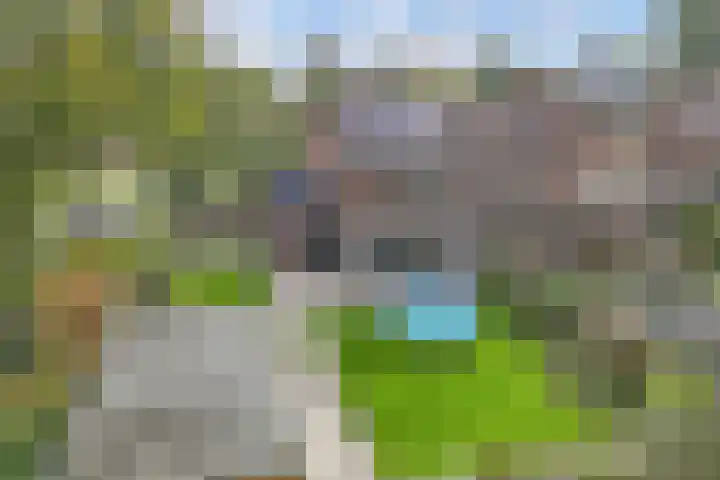 Oostercluft 14 Steenwijk thumbnail 37