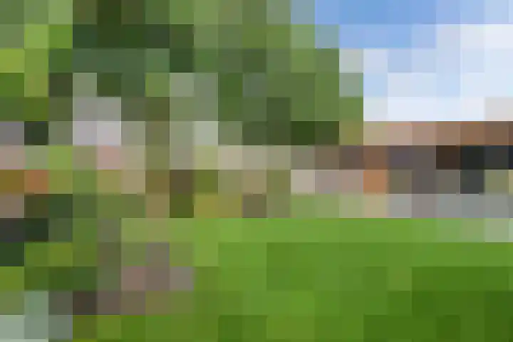 Oostercluft 14 Steenwijk thumbnail 42