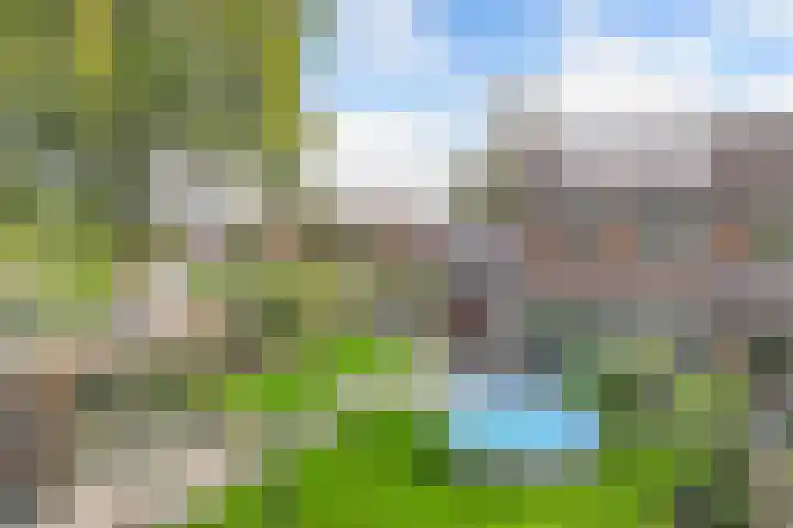 Oostercluft 14 Steenwijk thumbnail 51