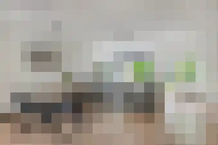 Oostercluft 22 Steenwijk thumbnail 11