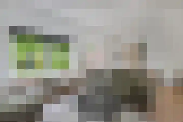 Oostercluft 22 Steenwijk thumbnail 13