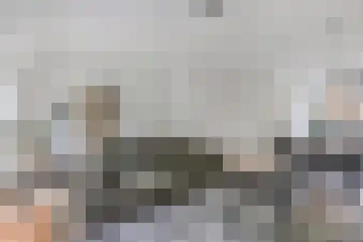 Oostercluft 22 Steenwijk thumbnail 14