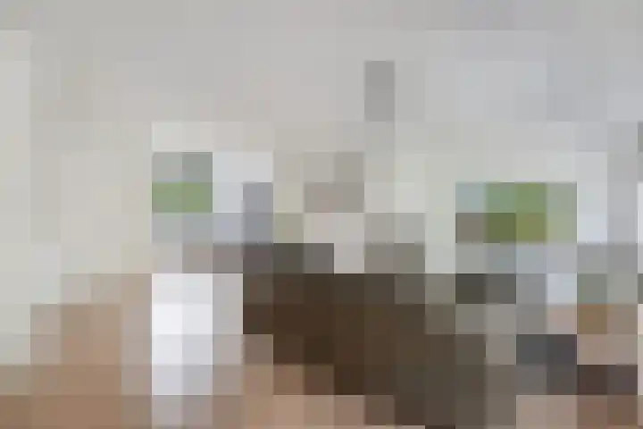 Oostercluft 22 Steenwijk thumbnail 15