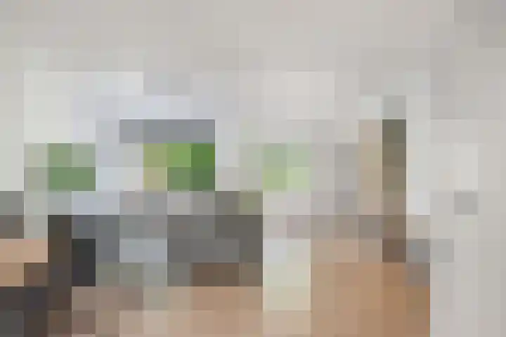 Oostercluft 22 Steenwijk thumbnail 16