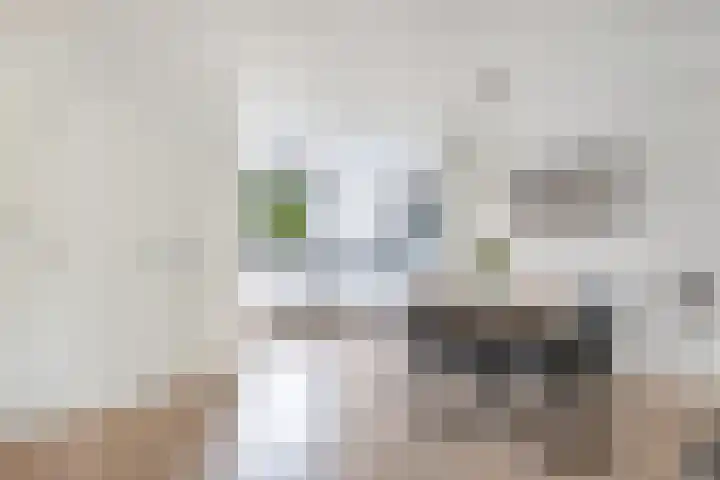 Oostercluft 22 Steenwijk thumbnail 17