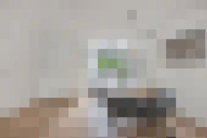 Oostercluft 22 Steenwijk thumbnail 18