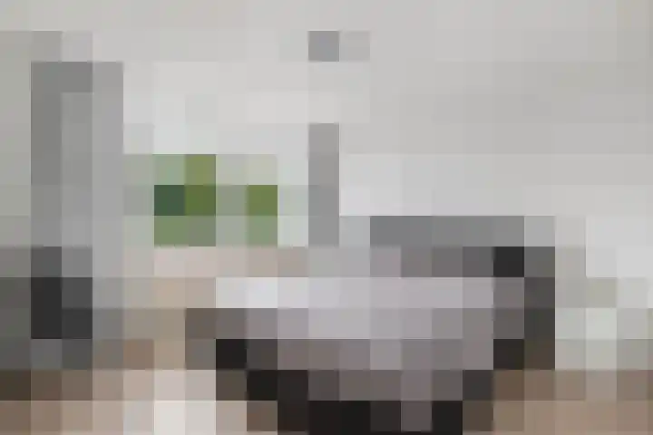 Oostercluft 22 Steenwijk thumbnail 21