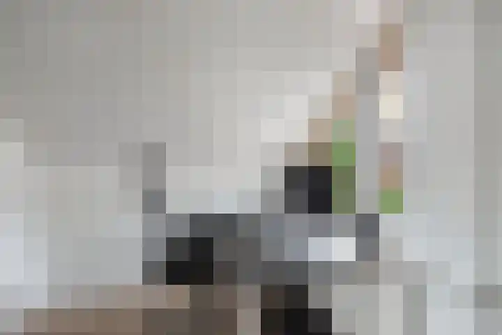 Oostercluft 22 Steenwijk thumbnail 23