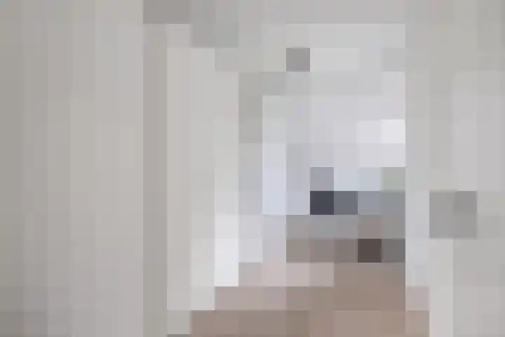 Oostercluft 22 Steenwijk thumbnail 24