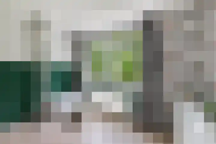 Oostercluft 22 Steenwijk thumbnail 25