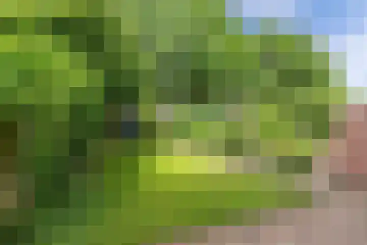 Oostercluft 22 Steenwijk thumbnail 31