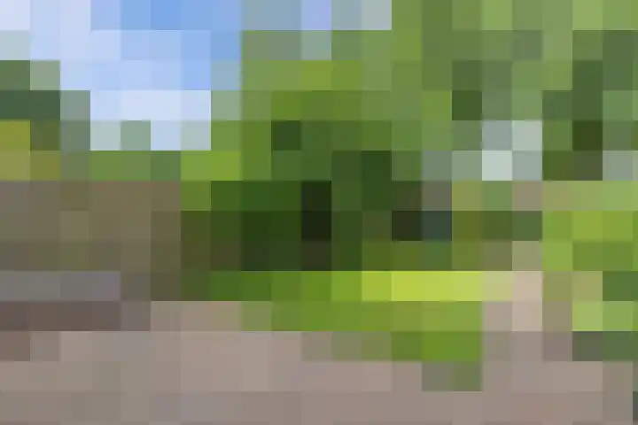 Oostercluft 22 Steenwijk thumbnail 32