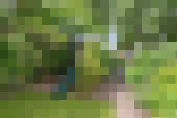 Oostercluft 22 Steenwijk thumbnail 33