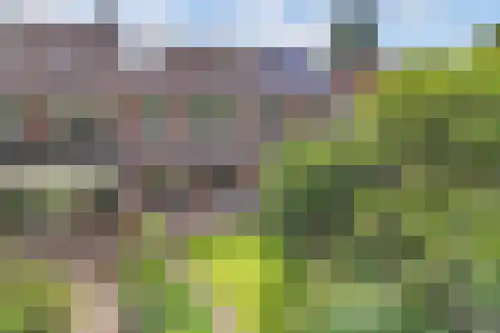 Oostercluft 22 Steenwijk thumbnail 4