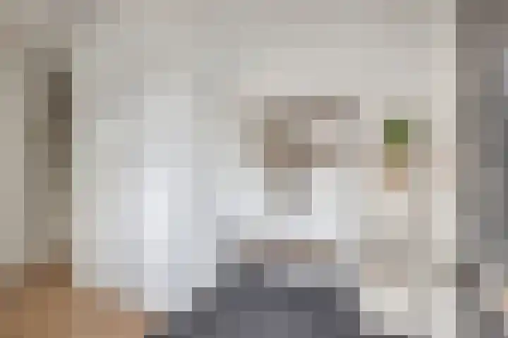 Oostercluft 22 Steenwijk thumbnail 6