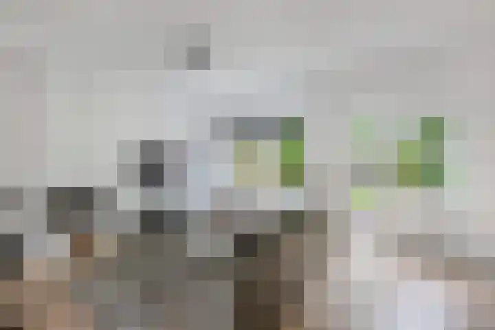 Oostercluft 22 Steenwijk thumbnail 9