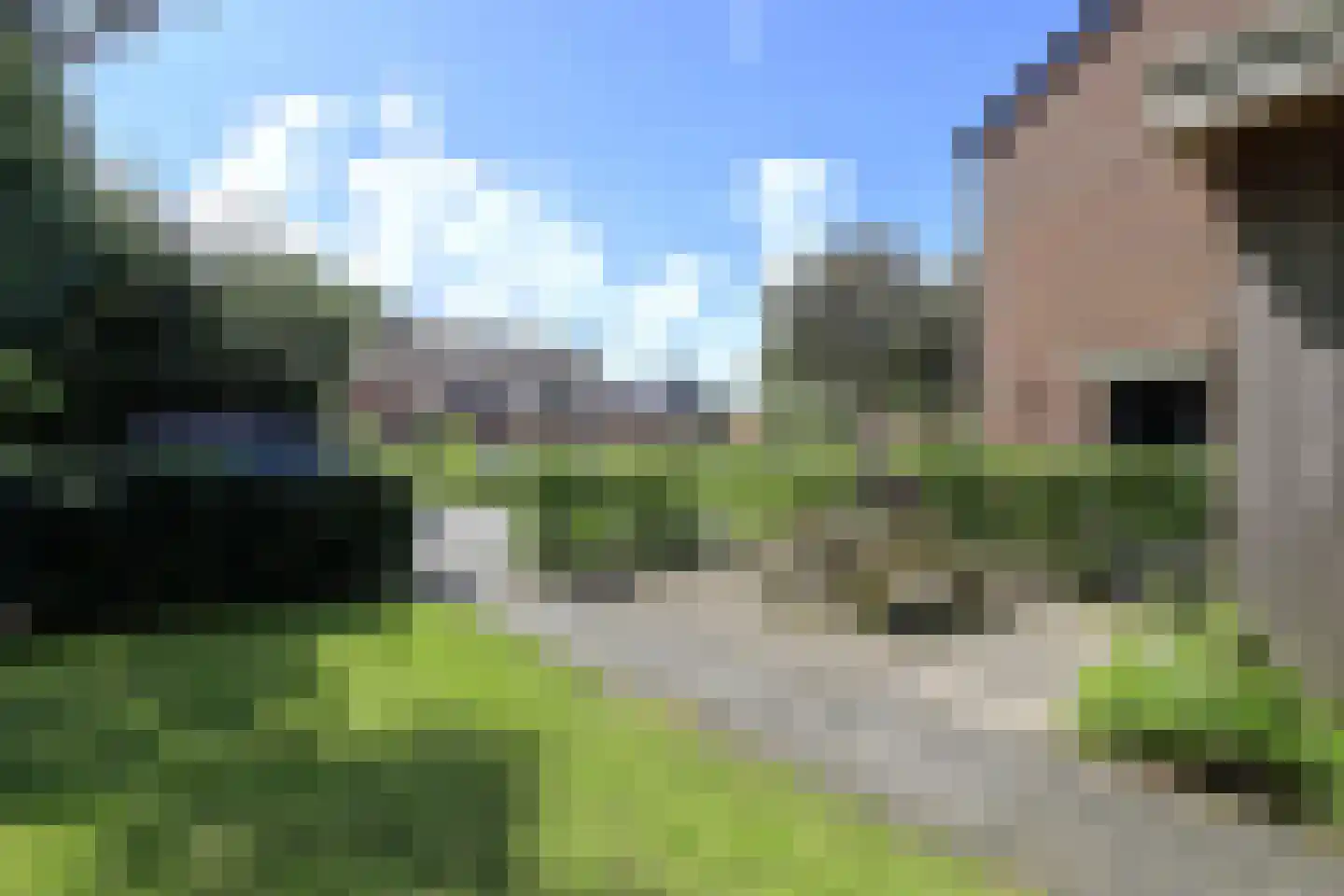 Oostercluft 290 Steenwijk thumbnail 30