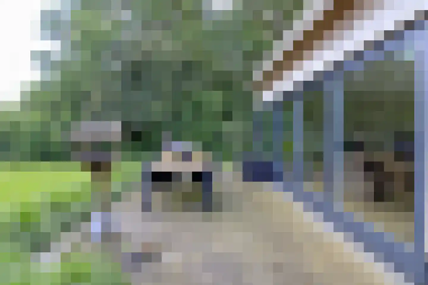 Oostercluft 290 Steenwijk thumbnail 34