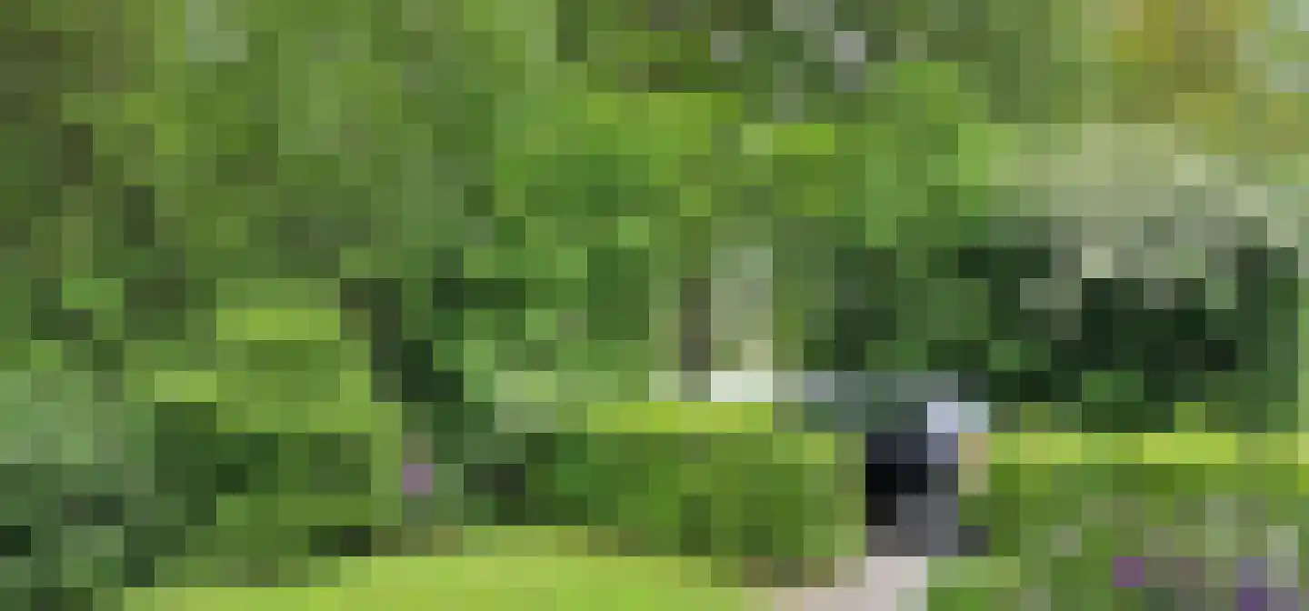 Oostercluft 290 Steenwijk thumbnail 37
