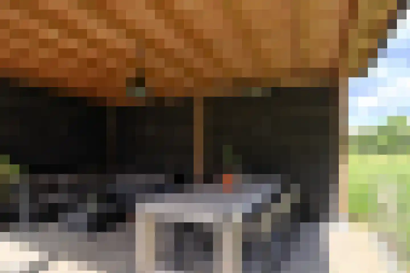 Oostercluft 290 Steenwijk thumbnail 39