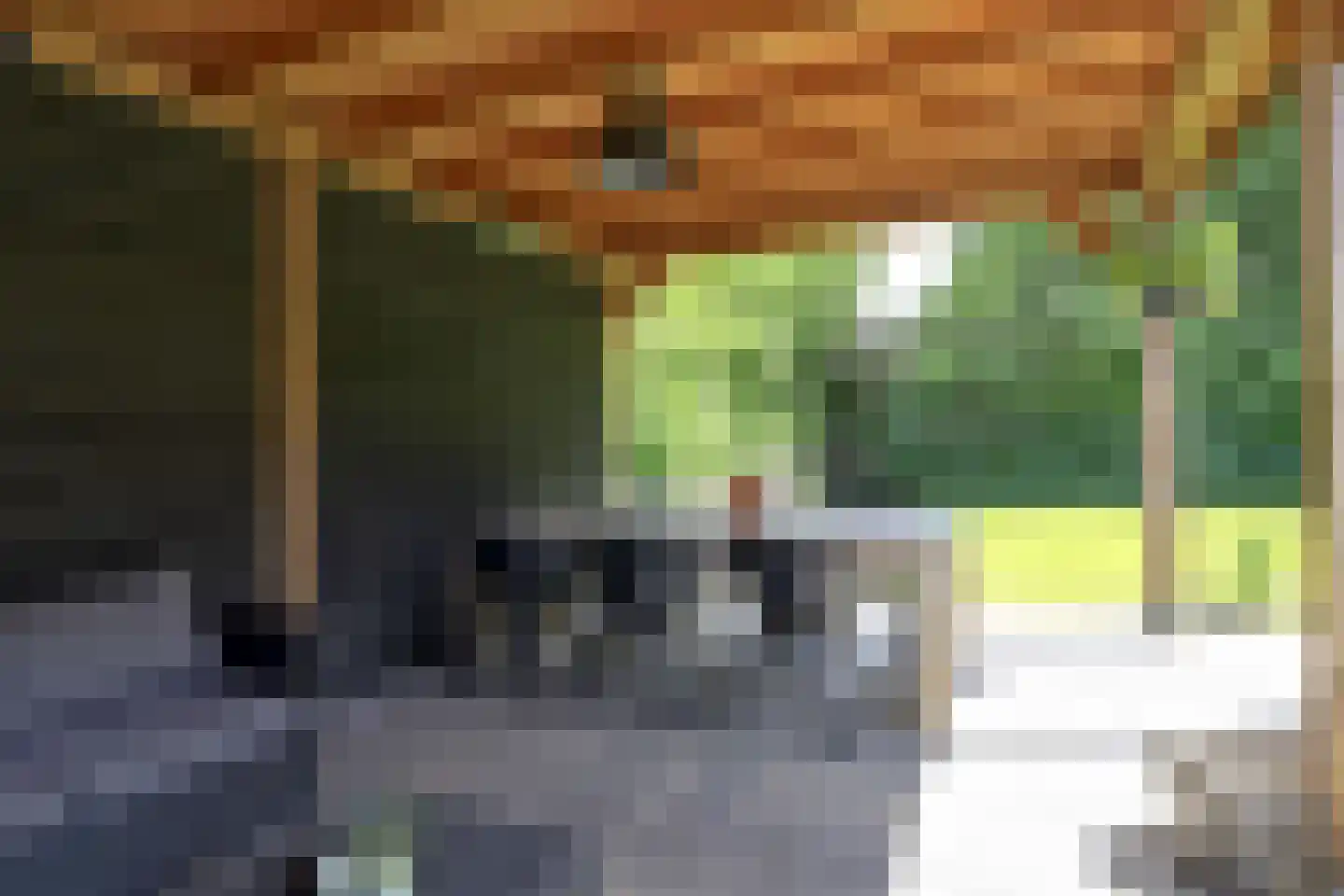 Oostercluft 290 Steenwijk thumbnail 40