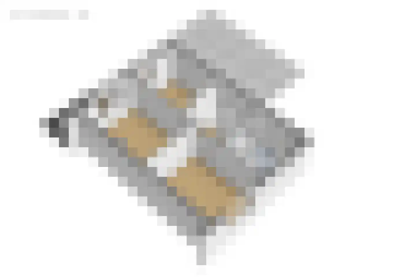 Oostercluft 290 Steenwijk thumbnail 48