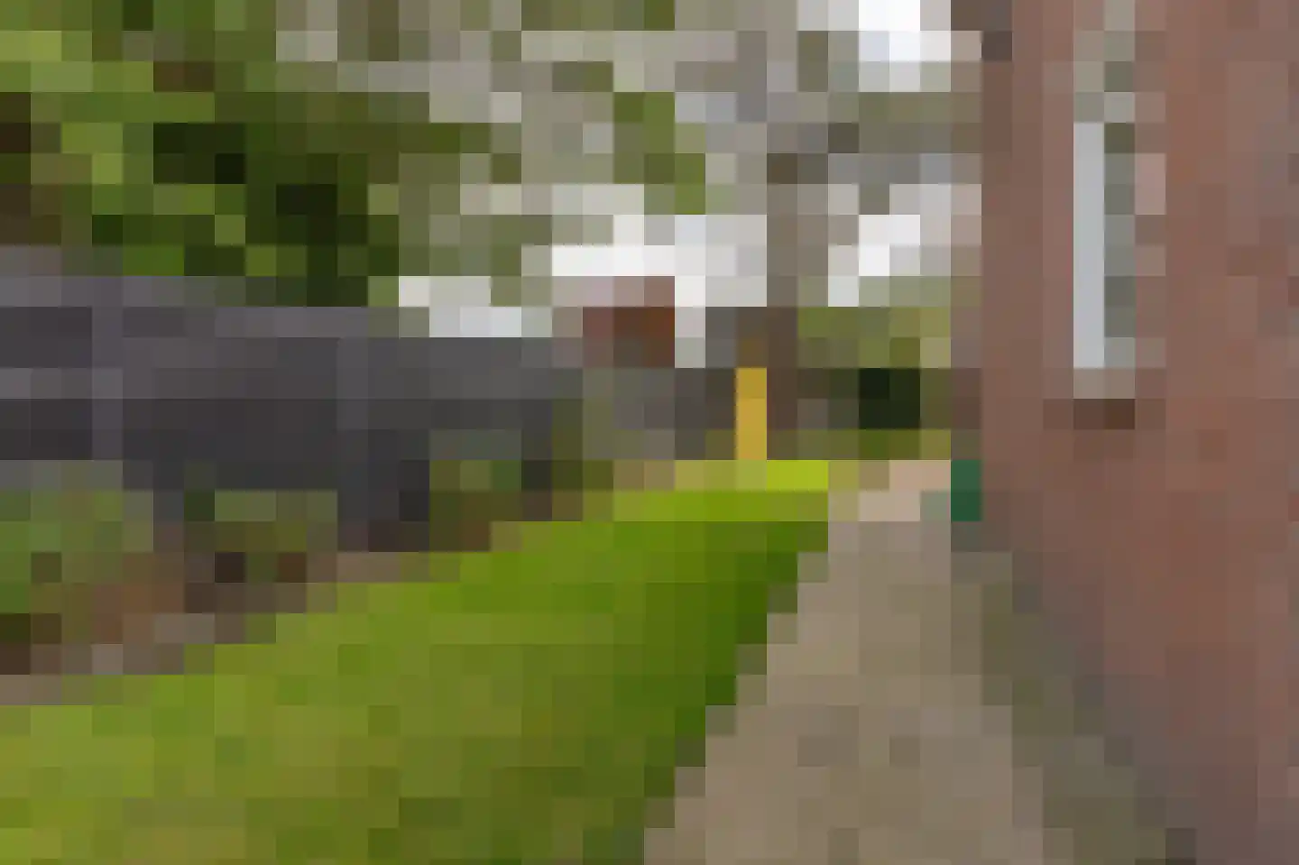 Oostercluft 320 Steenwijk thumbnail 39