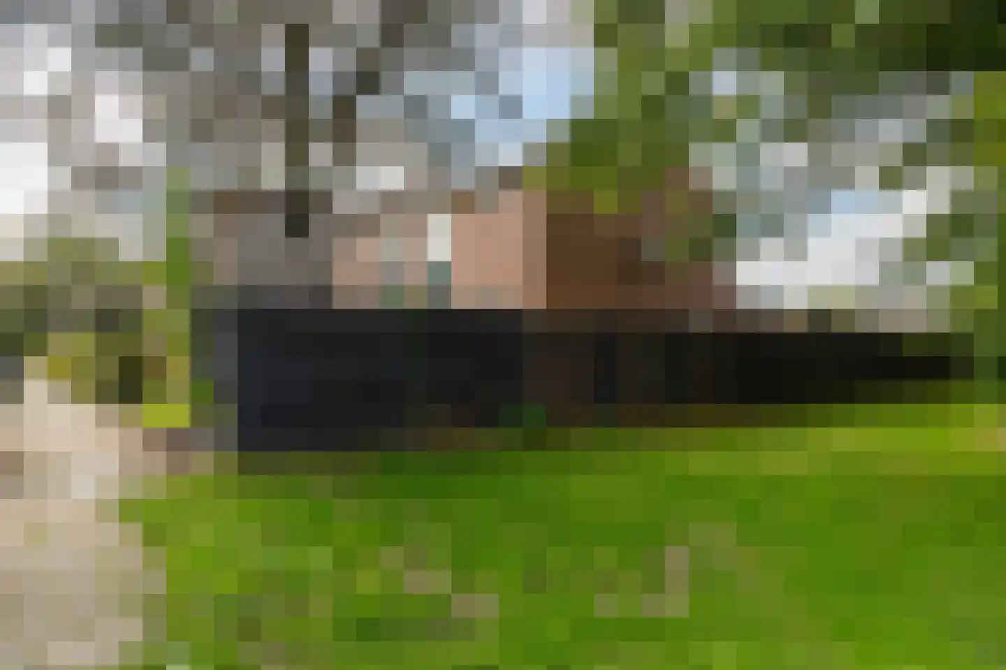 Oostercluft 320 Steenwijk thumbnail 45