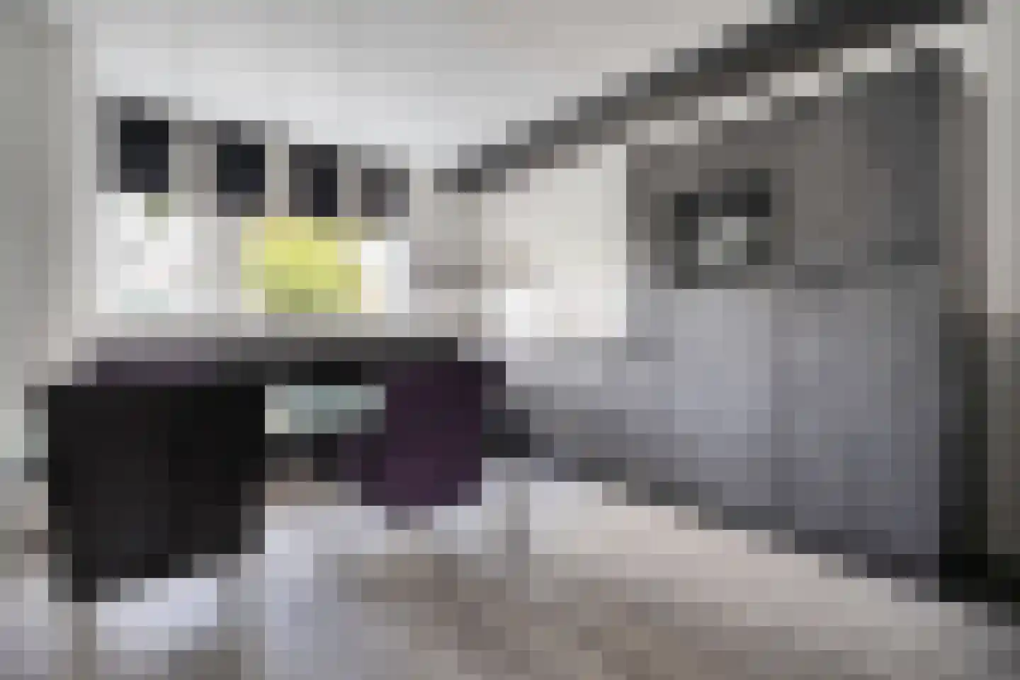 Oostercluft 340 Steenwijk thumbnail 16